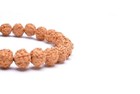 5 Mukhi Rudraksha Bracelet 100  Natural   101  Original Bracelet For  Unisex