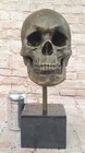 Skull Sculpture Statue Figure Skeleton Head All Metal Bronze No Resin Figurine