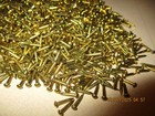 100--vintage 3 8  X  16  Solid Brass Brad Nails  Round Dome Head Escutcheon Pins
