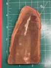 Mazon Creek- Tullimonstrum Gregarium  tully Monster -pit 11- Braidwood  Illinois