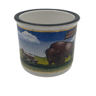 Vintage Oklahoma Souvenir Coffee Mug Buffalo Native American Frontier 