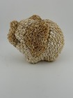 Vintage Shell Encrusted Elephant Bank Seashell Handmade