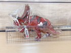 Schleich Pentaceratops 1 Point  55e86a