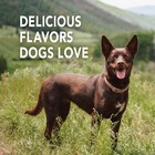 Petrodex Dog Natural Toothpaste Peanut Butter Flavor Tartar Control 2 5 Oz