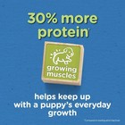 Purina Puppy Chow High Protein Dry Puppy Food  Complete With Real Chicken  4 Lb 