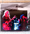 Heart Ann Nancy Wilson Rare 2 Cd 2015 Hollywood Bowl Concert Tour