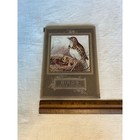 Vintage Booklet Birds In The Hedges May Byron C 1910s Nature Book Color Plates