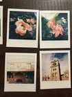 Polaroid Sx-70 Alpha 1 Sears Special Film Tested