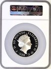 2023 Uk Elizabeth Ii Silver Proof Year Of The Rabbit   10 5 Oz Ngc Pr70uc Fr Rare