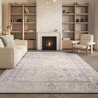 Area Rug 8x10 - Adirondack Collection - Large - Ivory   Silver  Distressed Vi   