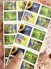 United States Postal Service Garden Delights  5 Books Of 20  First-class Mail