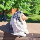 Vintage 9  Sandicast Sheltie Tri Color Dog Figurine Sandra Brue Signed 1987