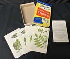 Vintage Know Your Trees Rand Mcnally Flash Cards 1961 Complete 3427 100 