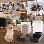 Automatic Cat Feeder And Water Dispenser In Set With Pet Food Bowl gravity Dog