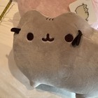 Two Pusheen Gund Plush 2017   2019 