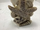 Ocean Star Fish Sand Dollar Shells Resin Batesville Co  Life Symbols 2018