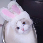 2 Pack Lion Mane Wig Costume For Cat Costume Bunny Rabbit Hat Headwear With Ears