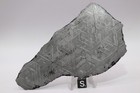 Muonionalusta Etched  Meteorite Full Slice Weight 153 2 Grams 5 Inches