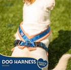 Dog Harness  Heavy Duty Padded Dog Vest  Durable Adjustable  Safe