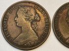 Lot Of 6 - 1864 New Brunswick One Cent Coin Km  6 - Canada Queen Victoria 1 Nb