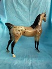 Peter Stone Arabian  Fcm  Sr  Mare  Glossy