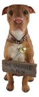 Ebros Lifelike American Pit Bull Pet Dog Statue W  Jingle Collar And Sign 13  H