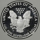 2010 Ngc Pf69 Ultra Cameo Early Releases Proof American Silver Eagle
