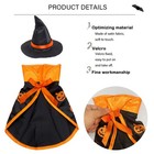 Cat Witch Cloak Wizard Hat Halloween Costume Small Cat Accessory Set Costume