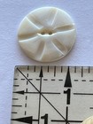 Antique Vintage 11  16  Carved Etched Shell Mop Big Mother Of Pearl Victorian