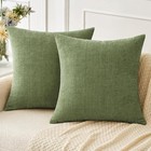 Pack Of 2 Couch Throw Pillow Covers 18x18 Inch Spring Soft Sage Green Chenill   