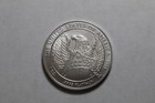 2007 W American Platinum Eagle Burnished 1 Oz  100