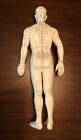 Acupuncture Male Model 19  Human Acupoint Doll Chinese Medicine Learning