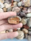Bahia Agate From Brazil Rough 1 Pound Lot