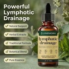 Lymphoria Lymphatic Drainage Drops Herbal Liquid Lymph Support Wellness Tincture