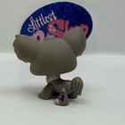 Chihuahua Dog  836 - Authentic Littlest Pet Shop - Hasbro Lps
