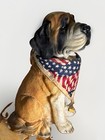 Saint Bernard Dog Collectible 15    Ht