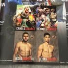 Canelo Alvarez Vs  Jermell Charlo 2023 Program  4 Cards   Bout Sheet