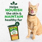 4 Pack Feline Greenies Smartbites Chicken Treats For Cats Skin And Fur Care 16oz