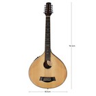 Bouzouki 10 Strings Bouzouki Guitar With Eq  10 Strings 
