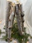 6 White Northern Minnesota Birch Logs For Fireplace 18  X 2-3   
