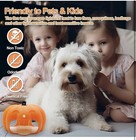2 Pack Flea Trap Indoor   trap safe   Non-toxic effective For Fleas bugs   Insects