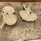 Vintage 1991 Burwood Sports Wall Plaques     Basketball   Football Players     Resin