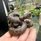 1pc Natural Doll Stone Quartz Hand Carved Snake Skull Crystal Healing Decor Gift