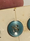 1872 Antique Diminutive Tiny Buttons On Card Blue Glass Very Very Rare