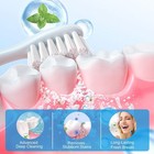 Purely White Deluxe Teeth Whitening Powders instant Whitening And Stain Removal