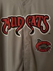 Carolina Mudcats Minor League Button Down Baseball Jersey Size Adult 2xl Gray