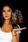 Seven Chakra Crystal Tree For Positive Energy  Healing 10in  Multicolour