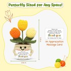 Oassie Thank You Gifts For Women Mini Tulip Crochet For Teacher