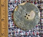 Antique Mother Of Pearl Shell Button Large Oversized 1 5  Carved Bark Back Focal