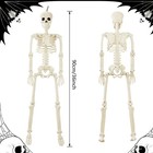 Jialwen 36  Halloween Posable Skeleton Decorations 3ft Realistic Plastic Huma   